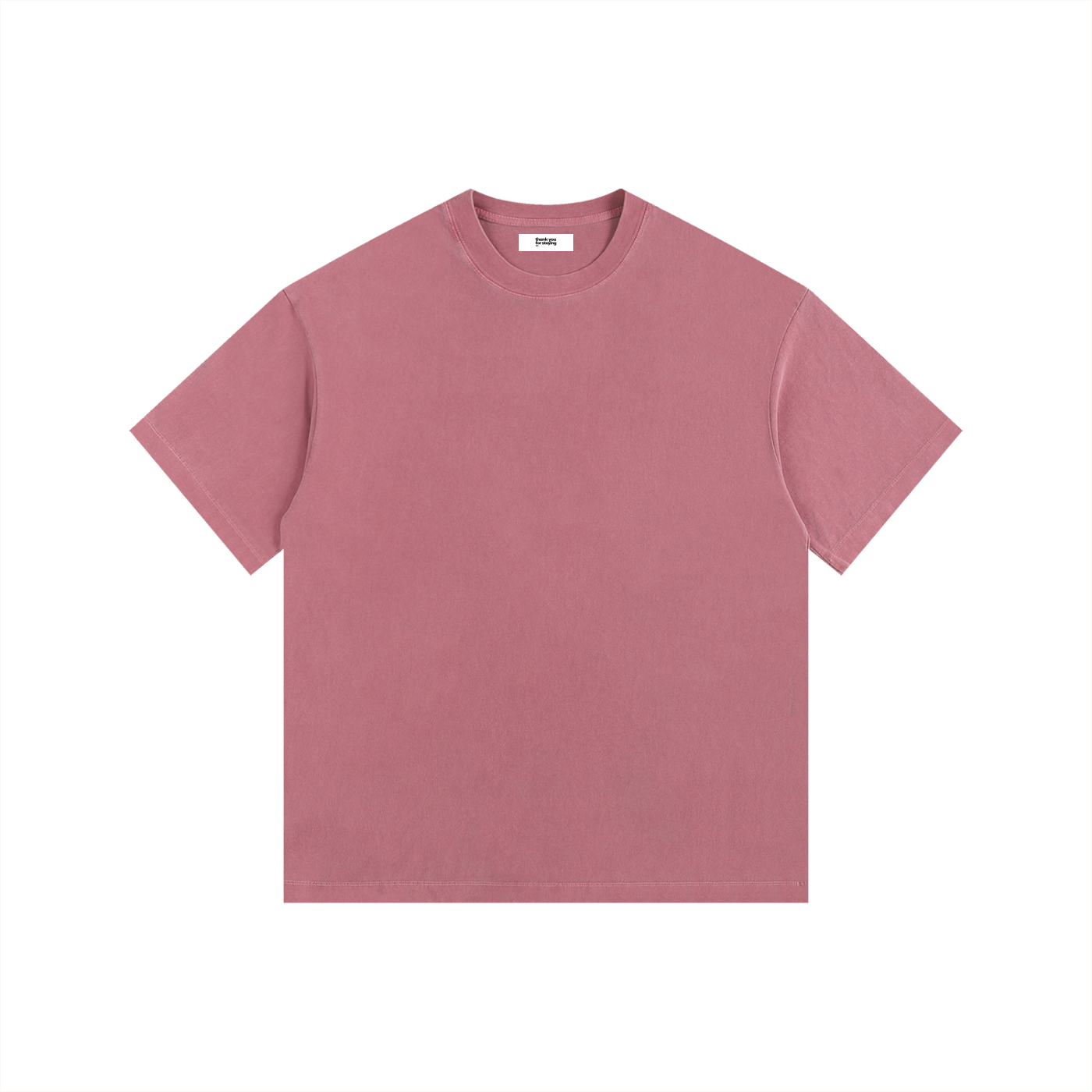 Vintage Washed Oversized Unisex T-Shirt – The World Almost Missed You Graphic Tee